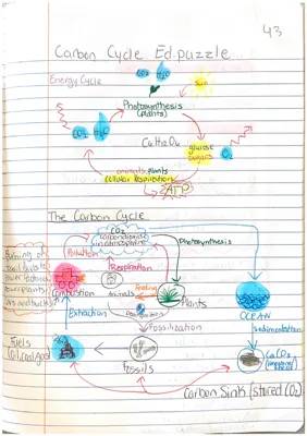 How Fossil Fuels Mess with the Carbon Cycle: Easy Diagram and Real Stories