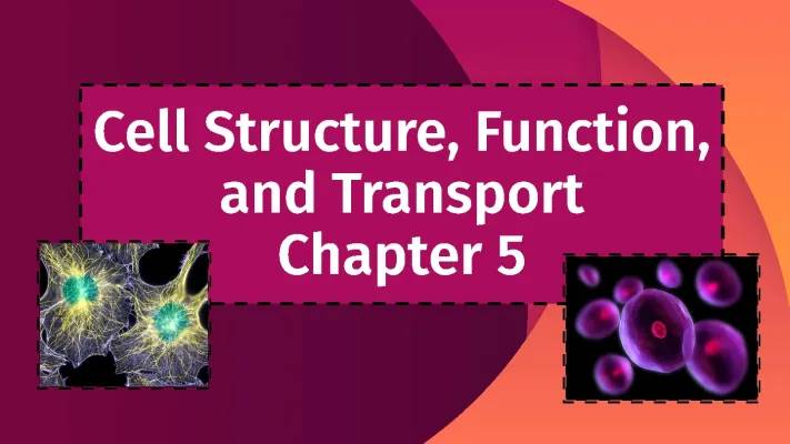 Cell Structure, Function, and Transport 1