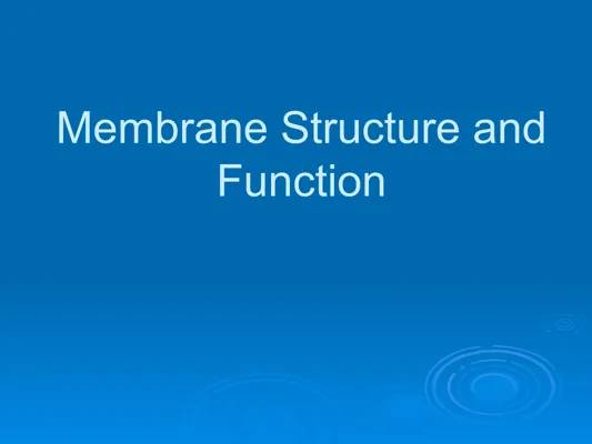 Cell Membrane: Structure, Function, and Protein Types