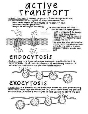 Active Transport