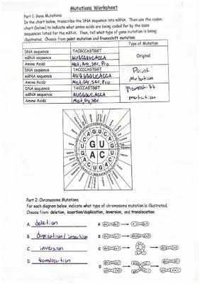 Fun Worksheet: Explore Gene Mutations & Transcribe DNA to mRNA