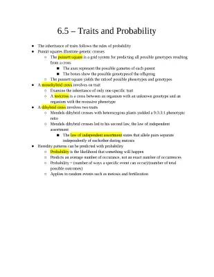 Understanding Punnett Squares and Probability: Fun Genetics Worksheets and Examples!