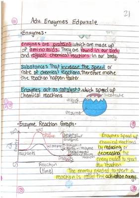 Fun with Enzyme Graphs: Simple Explainers and Cool Examples