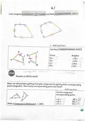 Fun Triangle Congruence Worksheets with Answers - Learn SSS, SAS, ASA, and AAS!