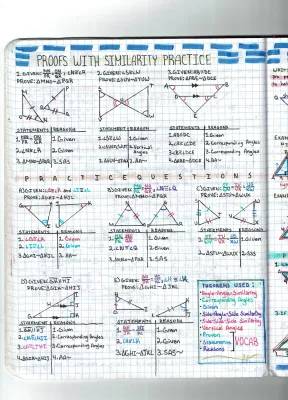 Fun with Similarity Exercises: Angle-Angle and Side-Angle-Side Tricks