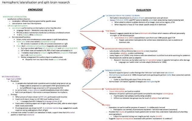 Cool Brain Stuff: Left & Right Side Talk - Split-Brain Experiments and More!