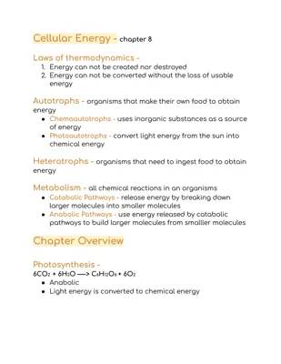 Understanding the Laws of Thermodynamics and Cellular Energy Processes