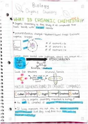 Why Organic Chemistry Matters in Biology and Fun Facts About Macromolecules