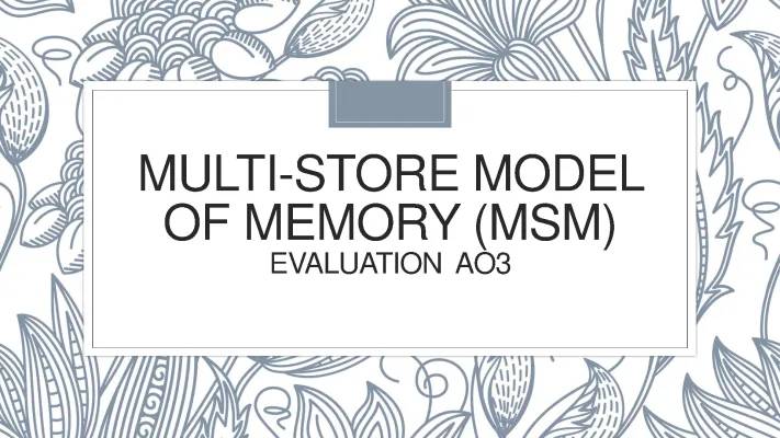 Understanding the Multi Store Model (MSM) - Evaluation and Case Studies