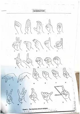 Learn ASL: Finger Spelling, Sentences, and Deaf Culture!