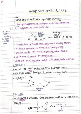 Properties of Water: Cohesion, Adhesion, and Surface Tension