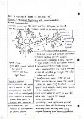 AP Psych Unit 2 Notes - Biological Bases of Behavior + Answer Key, PDF, Quizlet & More