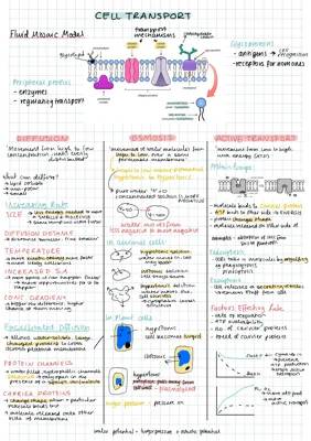 Cell transport/exchange