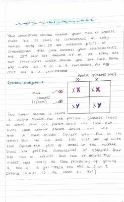 Reproduction-X & Y Chromosomes-Variation