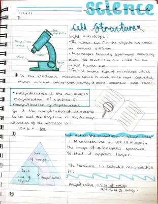 Easy Microscopes: How to Calculate Magnification