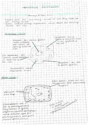 Cells And Specialised Cells