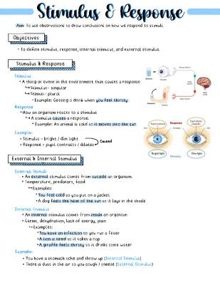 How Organisms Respond to Stimuli: Examples and Quiz