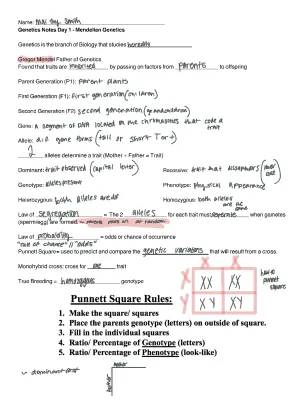 Mendelian Genetics: Notes, Examples, and PDFs