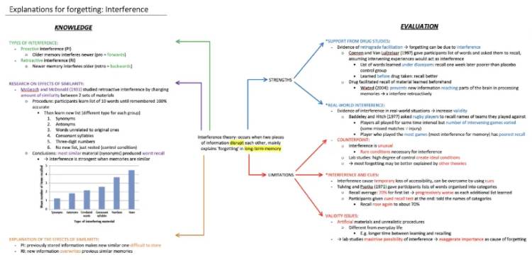 Understanding Forgetting: Interference Theory Explained