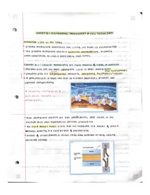 Unit 5: Membrane Transport & Cell Signaling 