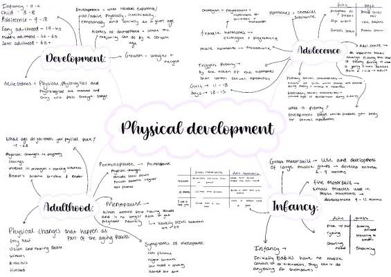 Mind Maps for Kids: Stages of Development and 5 Key Mind Mapping Tips