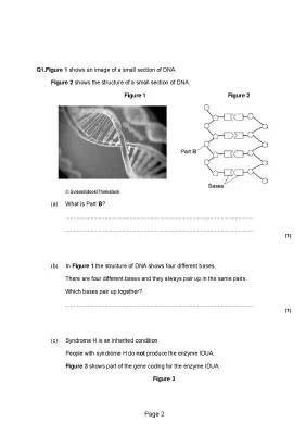 Understanding Malaria: The 3 Stages, How It's Spread, and Your DNA!