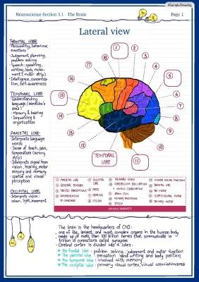 Understanding the Brain: A Comprehensive Guide to Neuroscience Section 3.1