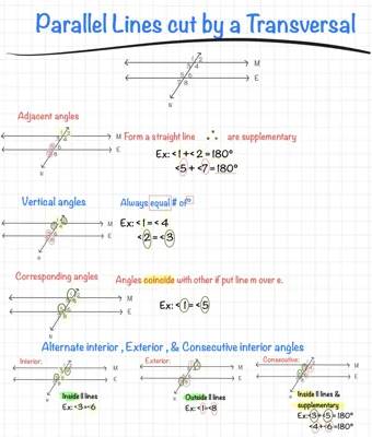 Fun Guide to Parallel Lines and Angles!