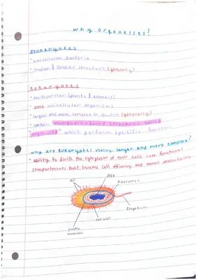 The Structure and Function of Eukaryotic Cells