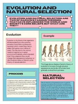 Detailed Notes on Evolution and Natural Selection for Year 7-9 PDF | KS3 & GCSE