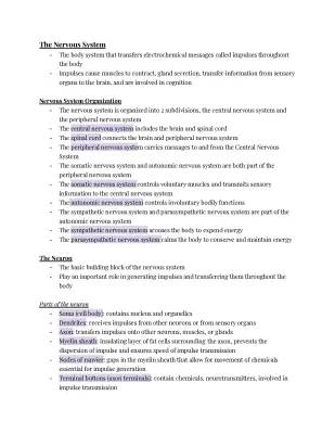 Unit 2: The Nervous System Study Guide 