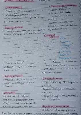 What is Osmosis: Learning About Membranes, Oxygen Diffusion, and Cellular Transport