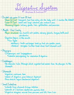 How Your Digestive System Works: Diagrams, Parts, and Functions!