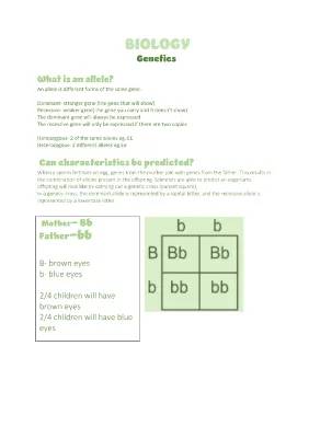 Learn How to Use Punnett Squares to Predict Baby Traits!