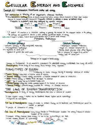 Cellular Energy and Enzymes