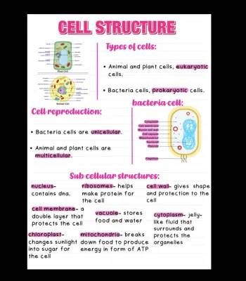 cell structure 