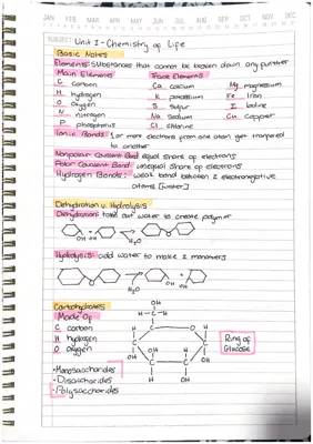 Chemistry of Life Basic Notes PDF: Download Now for Biology Test!