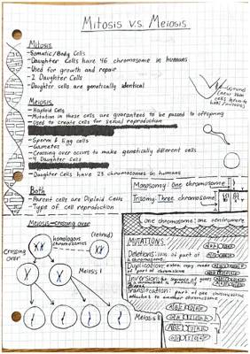 Mitosis vs. Meiosis + mutations, crossing over, etc.