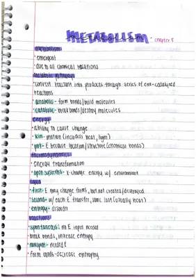 Metabolism Notes