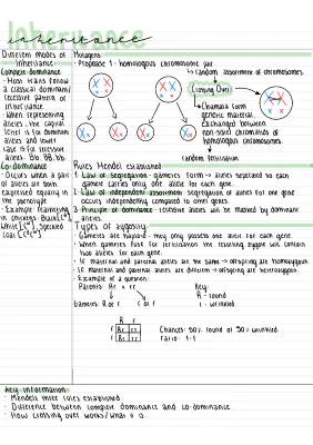 Understanding Mendel's Laws and Genetic Variation – Inheritance for Kids