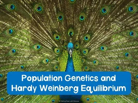 Understanding Natural Selection and Genetic Drift with Examples and Exam Notes