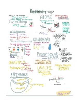 Biochemistry One Page Summary