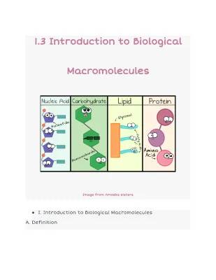 Intro to Biological Macromolecules