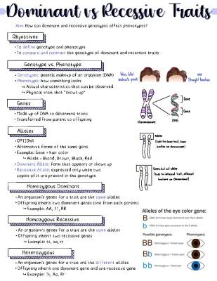 Understanding Dominant and Recessive Traits: Examples and Definitions