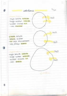 (hyper/hypo/iso) tonic solutions