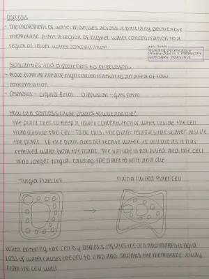 What is Osmosis: Easy Guide with Plant Cell Diagrams and Cool Facts