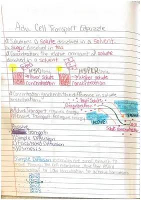 Learn About Cell Transport: Easy Edpuzzle Guides and Fun Charts!