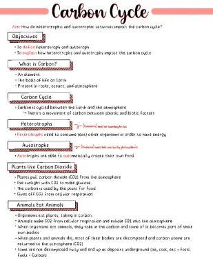 Understanding the Carbon Cycle: Diagram, Examples, and Importance