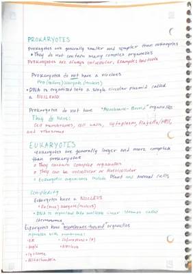 Prokaryotic cells VS. Eukaryotic cells