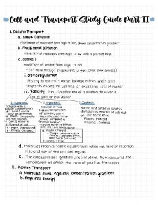 Active and Passive Cell Transport: Easy Examples and Notes